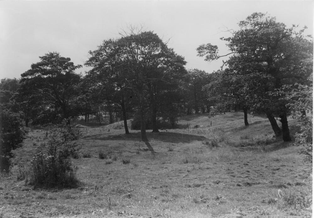Green field site. Green field site.