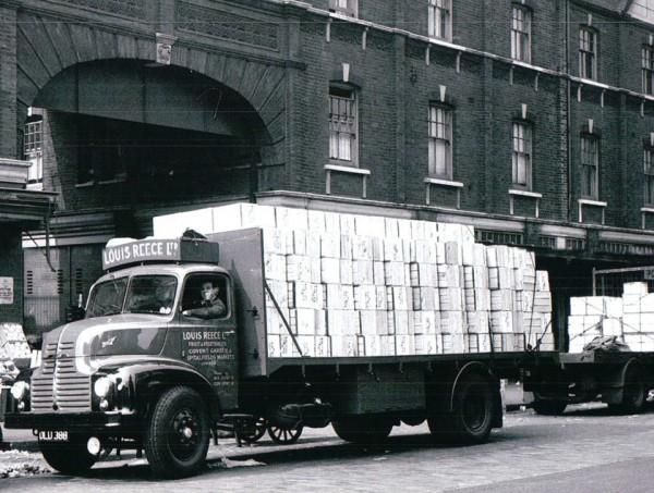 Louis Reece Leyland Comet