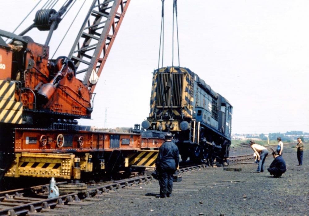 Springs Branch Steam Crane 