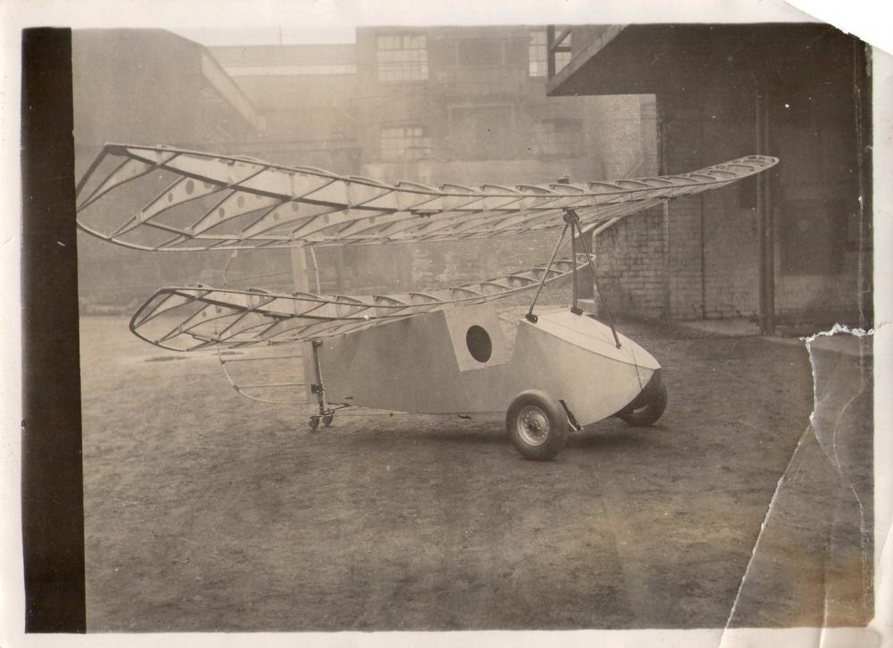 Flying Flea Flying Flea