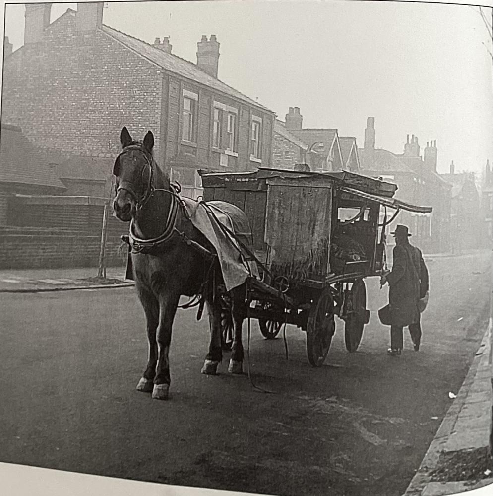 Man with his horse and cart Man with his horse and cart