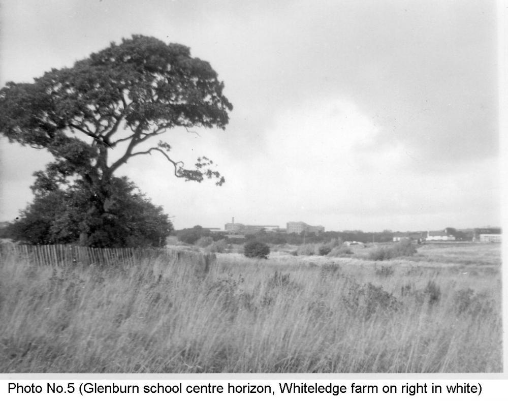 Photo No. 5, c1967 Photo No. 5, c1967