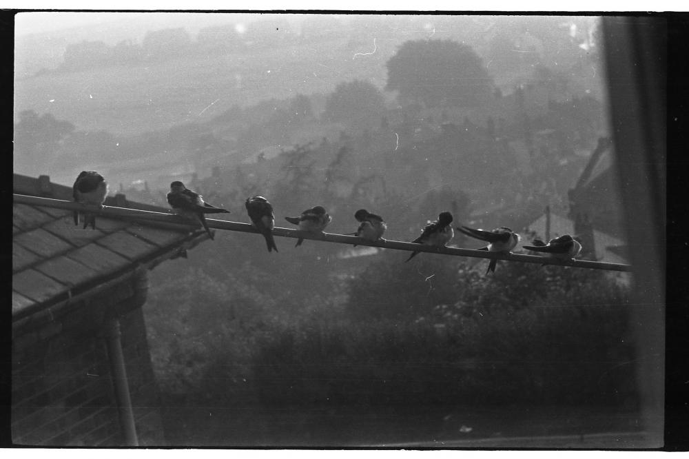 House Martin's Alma Hill Upholland Nr Wigan 1970's