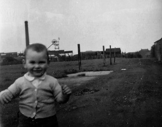 Back of Bryn Road 1955 Back of Bryn Road 1955
