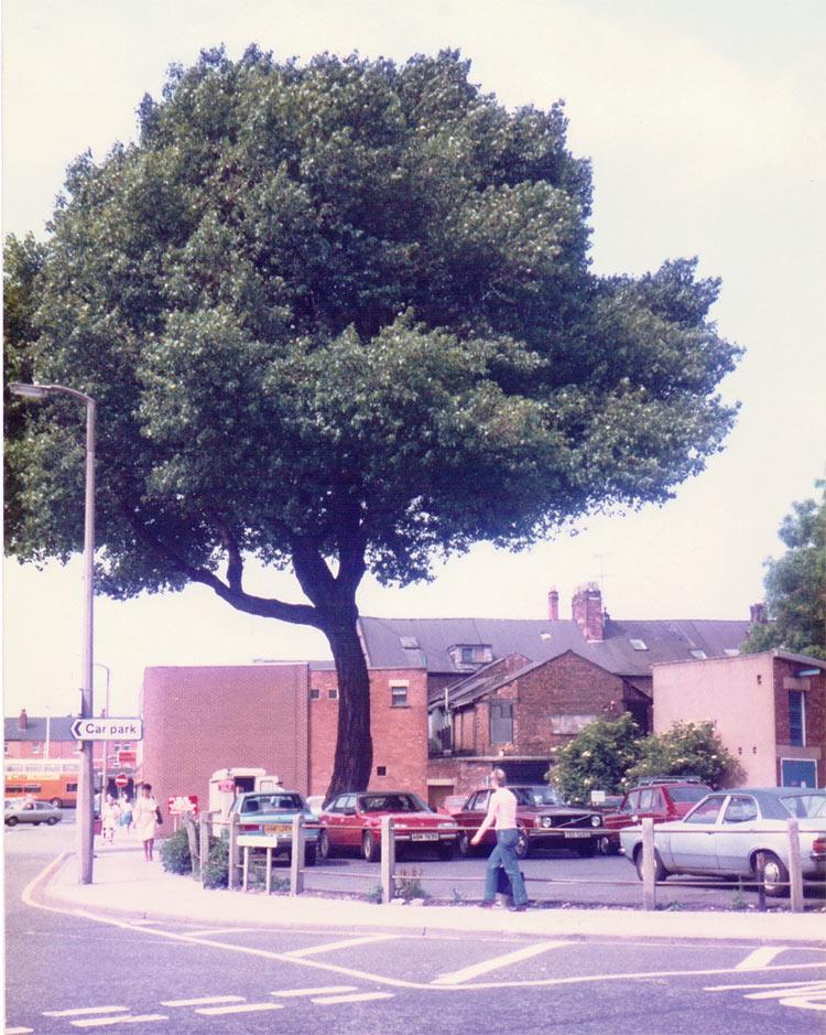 Mesnes Terrace, Wigan