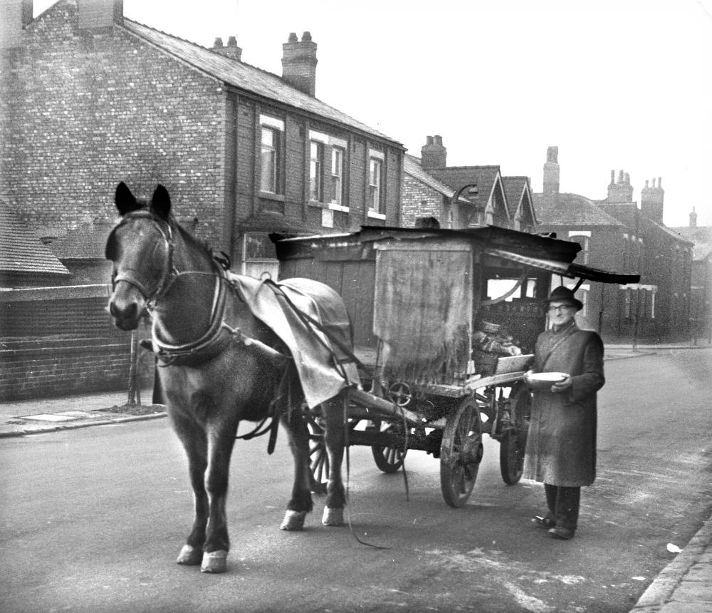 HORSE AND CART 2 HORSE AND CART 2