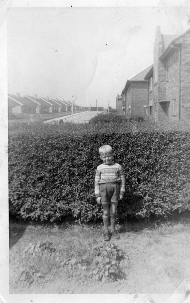 Birch Grove North Ashton 1965. Birch Grove North Ashton 1965.