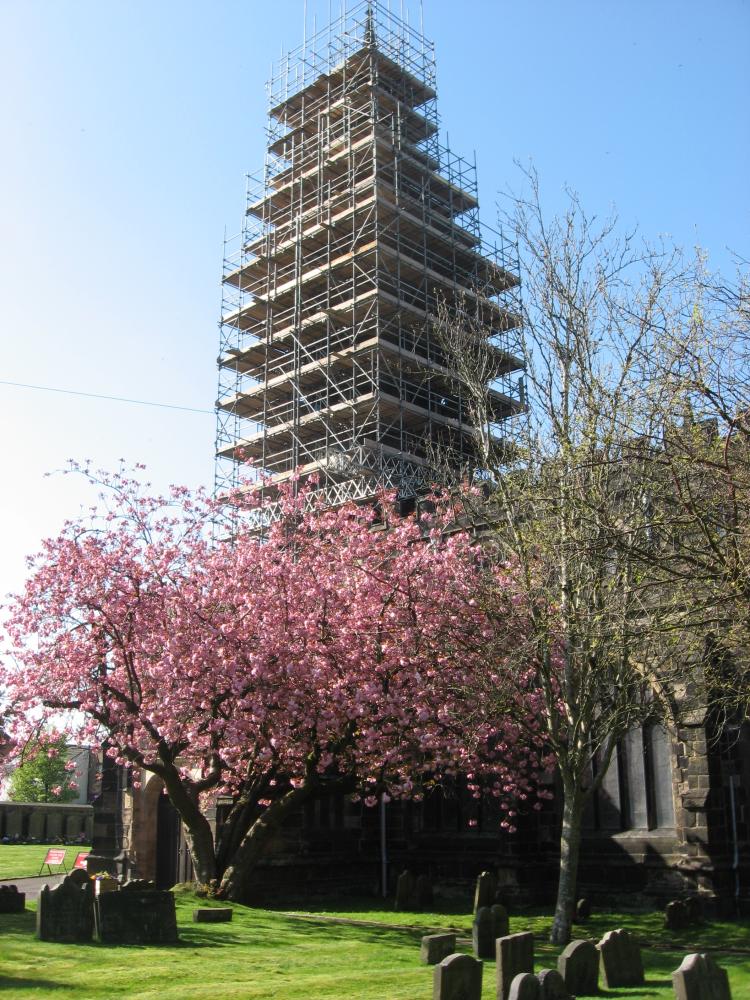 Scaffold & Blossom@ St.Wilfred's Parish Church. Scaffold & Blossom@ St.Wilfred's Parish Church.