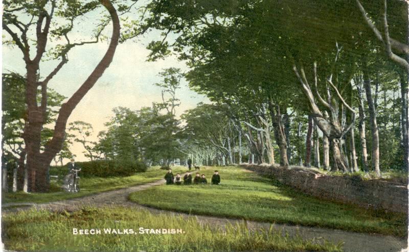 Beech Walks, Standish. Beech Walks, Standish.