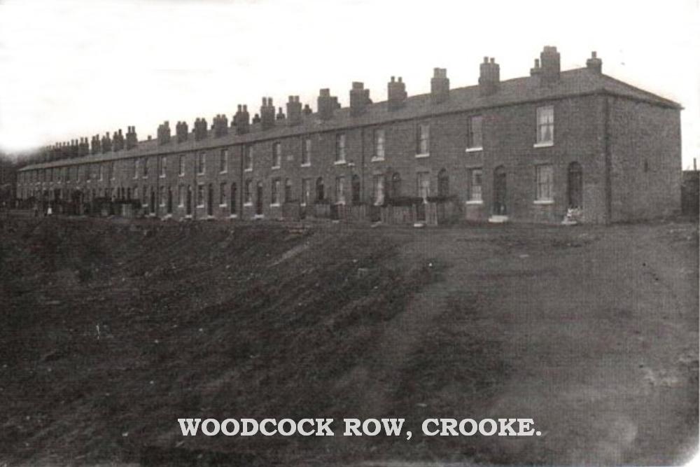 WOODCOCK ROW WOODCOCK ROW
