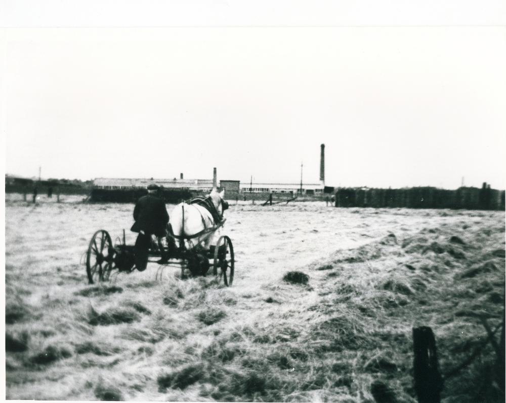 Turning Hay. Turning Hay.