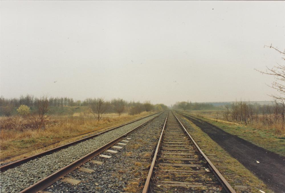 Springs Branch line 1996 Springs Branch line 1996