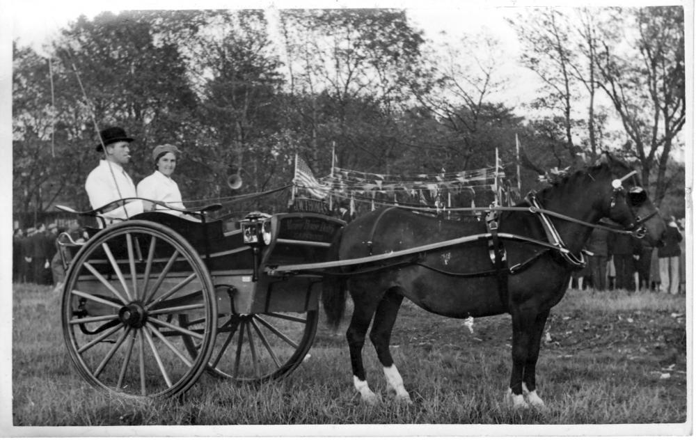 A Garden Fete at North Ashton