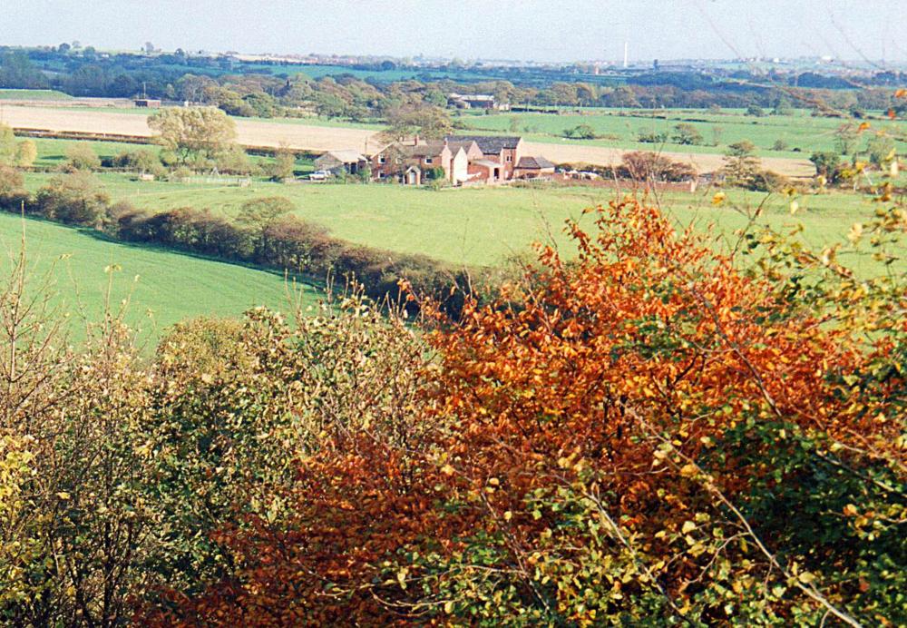 Across Hall Lane-nov '95