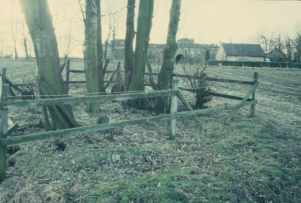 Animal Graveyard, Winstanley Hall