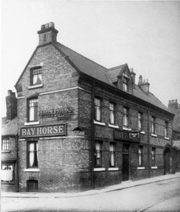 Bay Horse - Hallgate Bay Horse - Hallgate