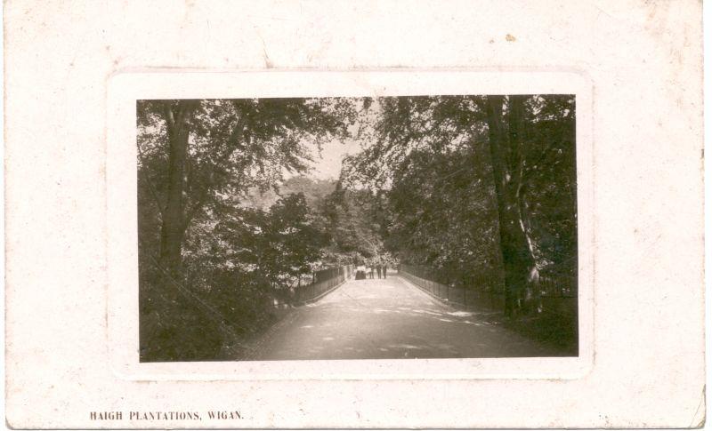 Haigh Plantations. Haigh Plantations.