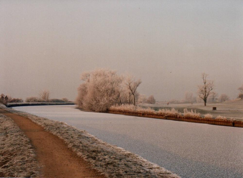 Frozen Golf