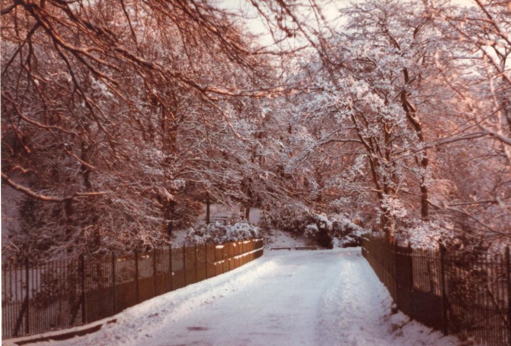 Bridge over the River Douglas in The Plantations December 1981 Bridge over the River Douglas in The Plantations December 1981