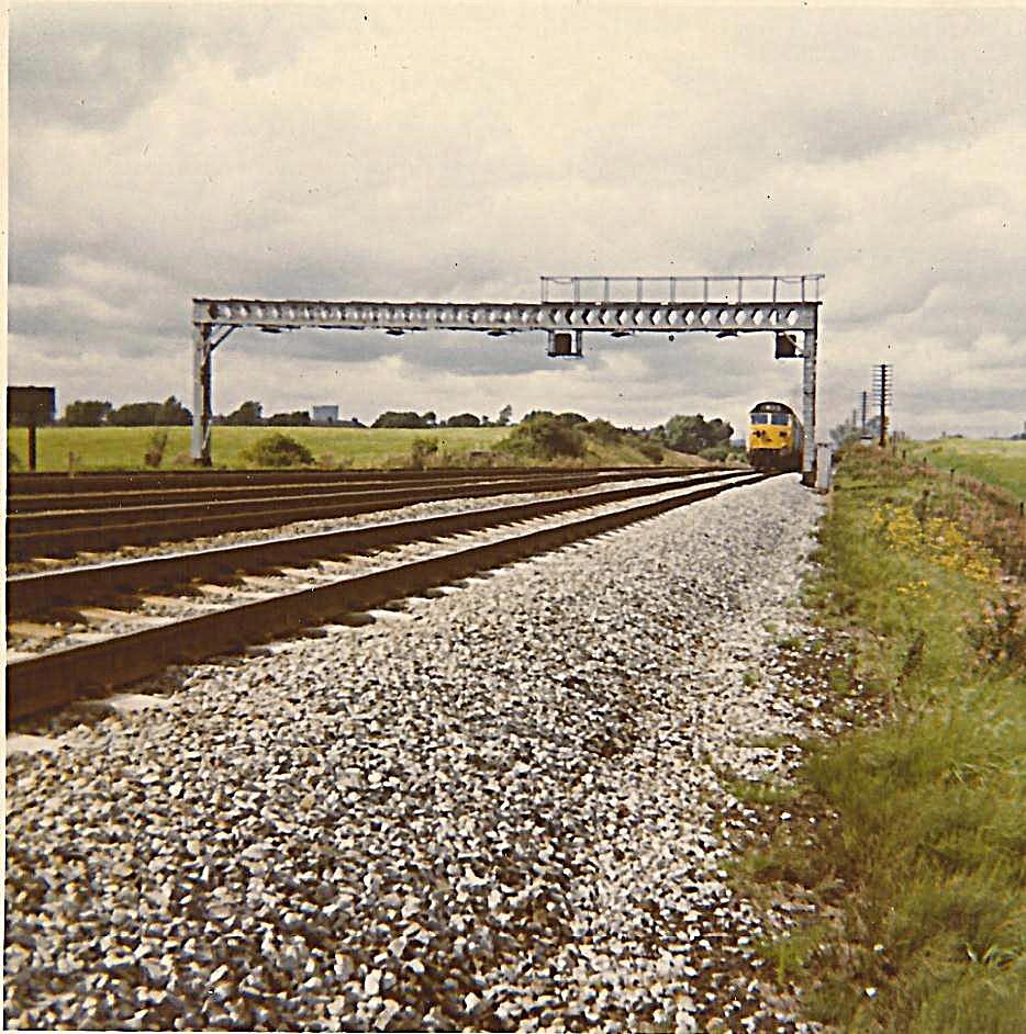 Class 50 Golborne 1970