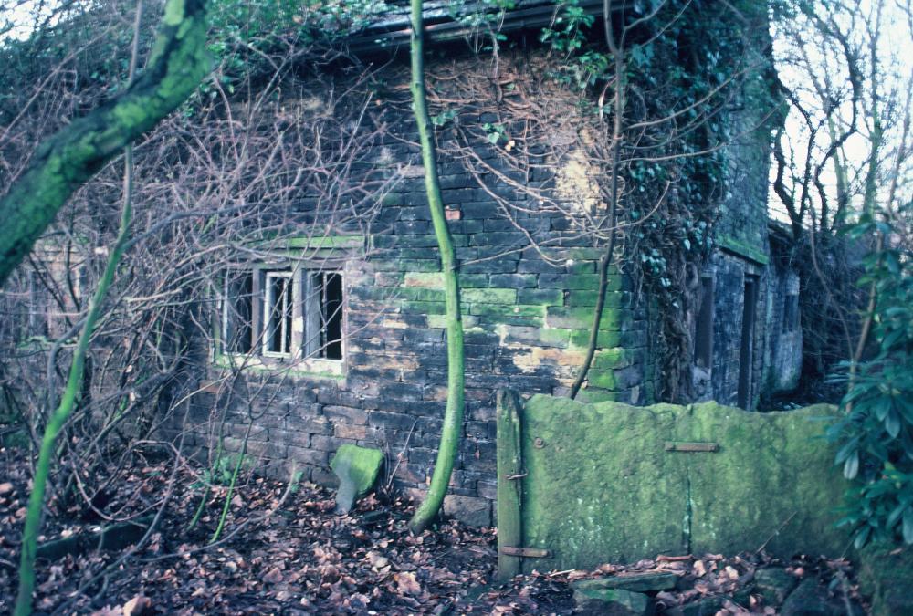 Hall Lane Cottages, Winstanley Estate