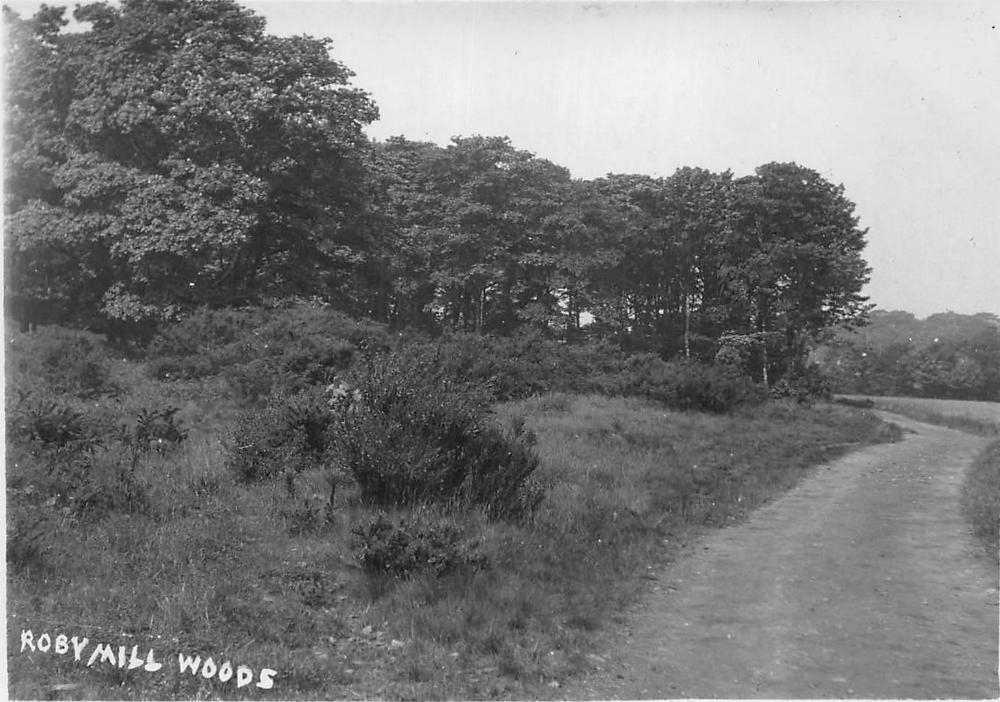 Roby Mill Woods