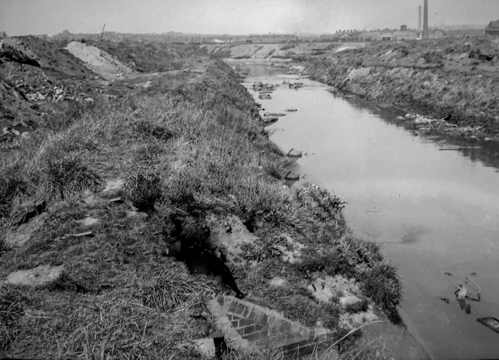 RIVER DOUGLAS 1951 RIVER DOUGLAS 1951