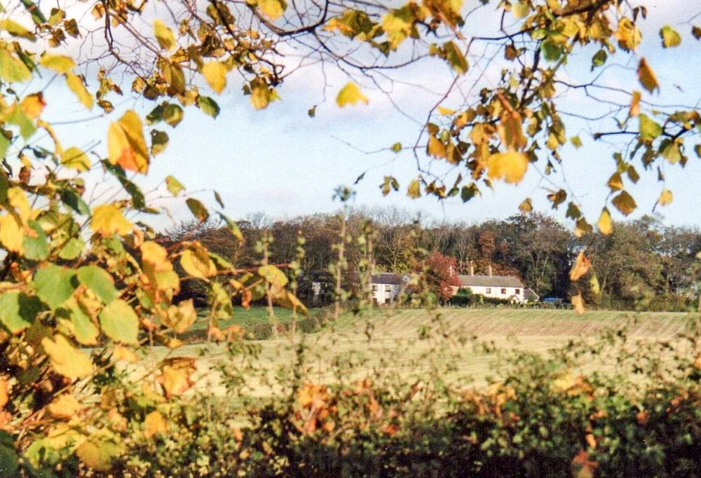 Prospect Cottages Prospect Cottages