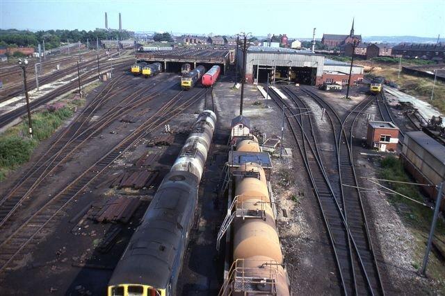 Springs Branch Loco Sheds, July 1975. Springs Branch Loco Sheds, July 1975.