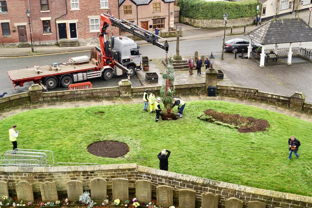 Planting the Christmas Tree