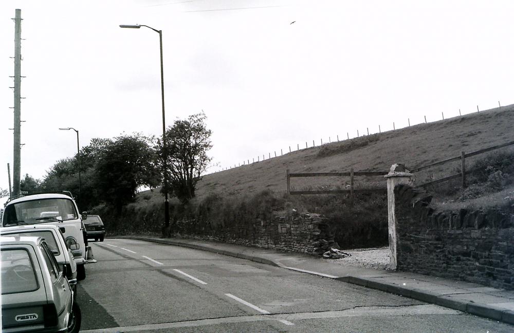 Cow Field Higher Lane UpHolland