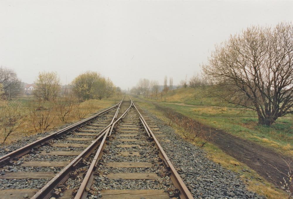 Springs Branch Line 1996 Springs Branch Line 1996