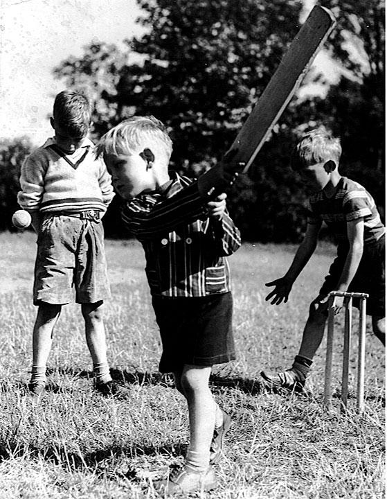 Cricket in Mesnes Park Cricket in Mesnes Park