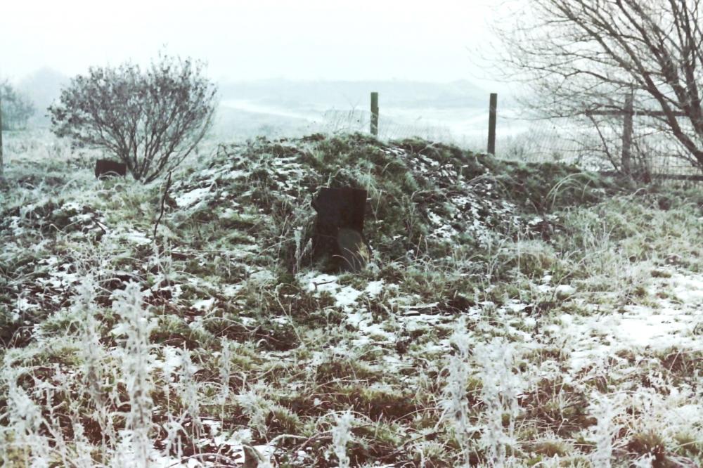 wigan alps
