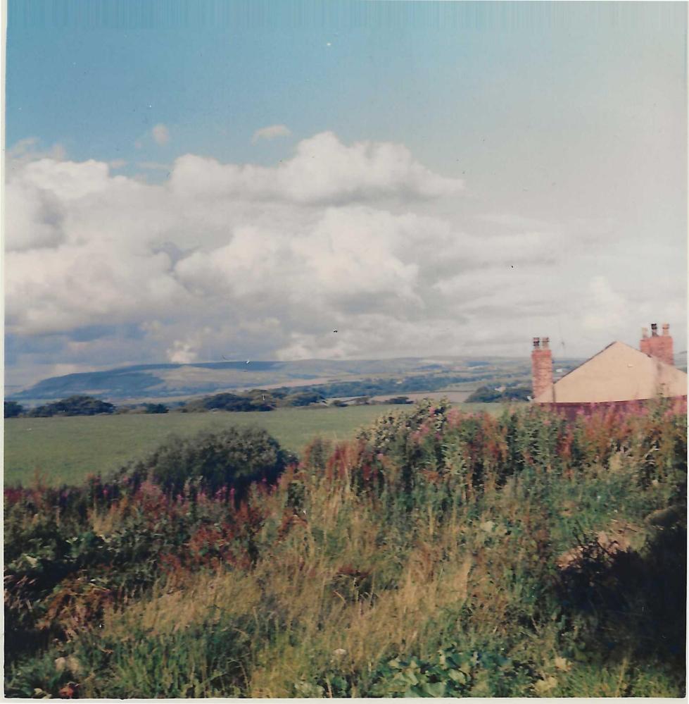 Rivington & Winter Hill from Grove Lane. 