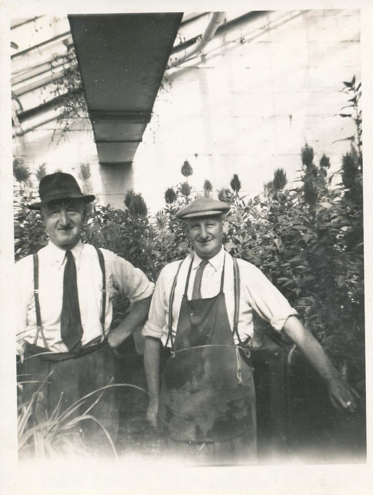 1951 - Mesnes Park Greenhouse 1951 - Mesnes Park Greenhouse