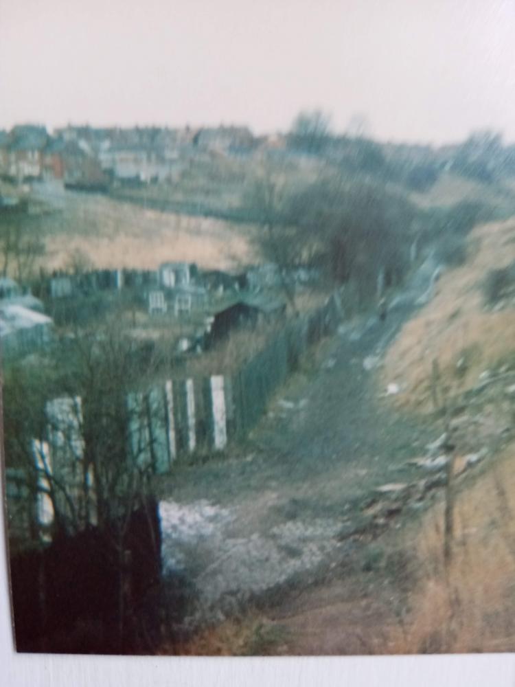 Wide view before The Dam