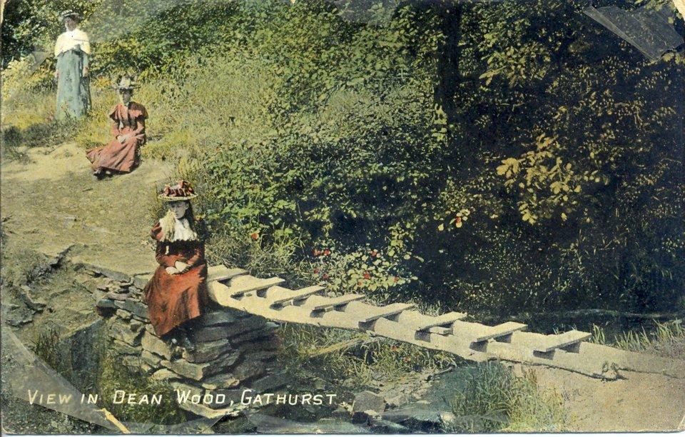Dean Wood, Gathurst. Dean Wood, Gathurst.