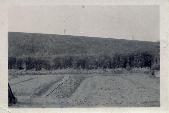 Allotments on Warrington Road, Newtown