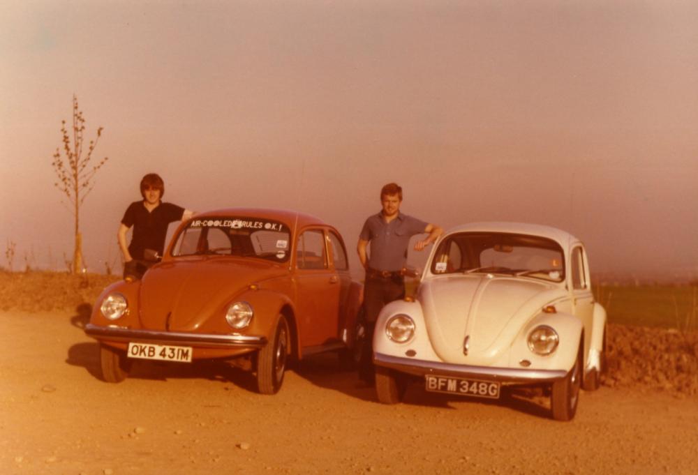 Beetles Beetles
