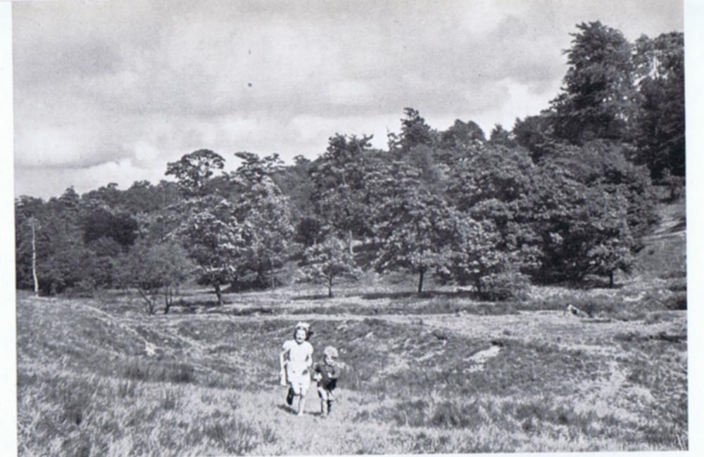 Douglas Valley near Arley Hall