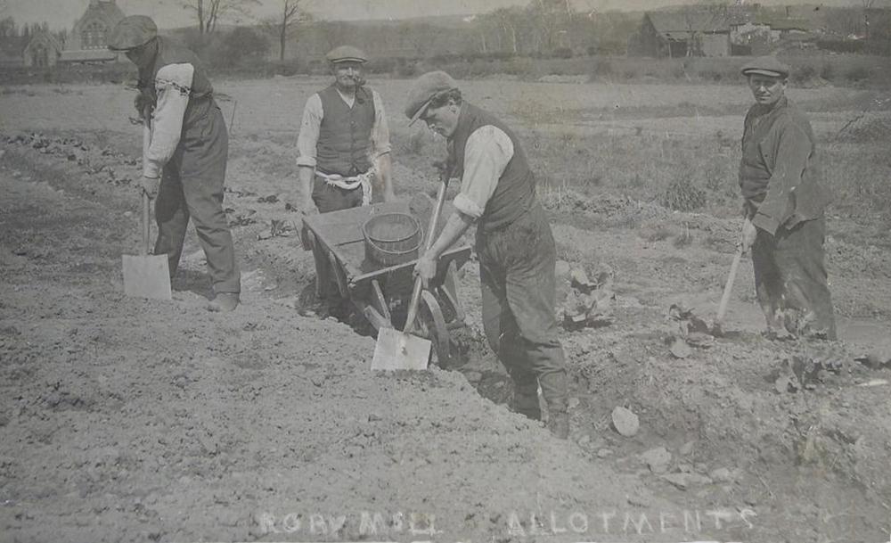 ALLOTMENTS