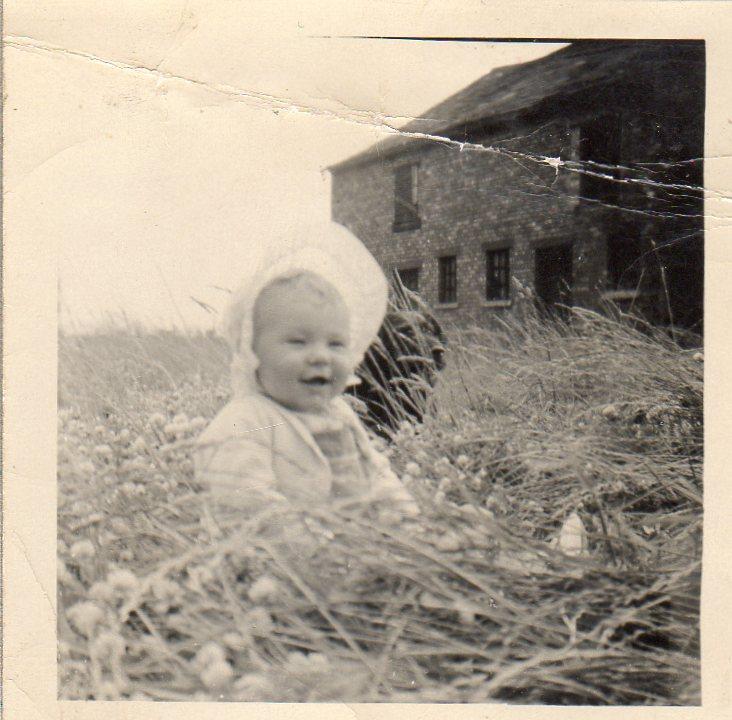 Farm at the back of Liverpool Rd