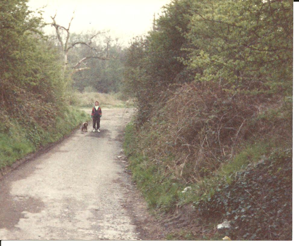 brook lane pem. brook lane pem.