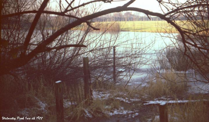 Ince Park Lake at Christmas Ince Park Lake at Christmas