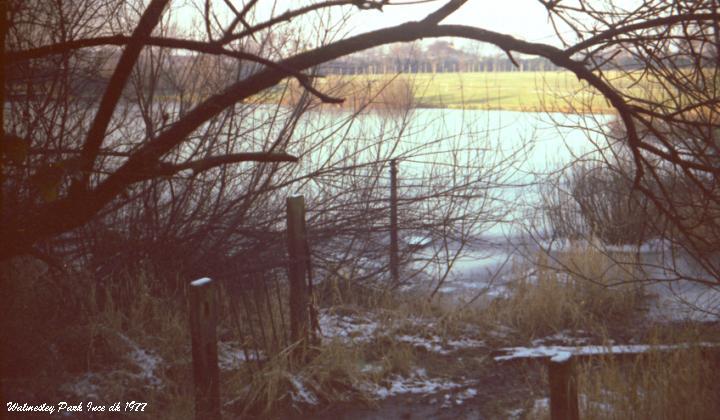 Ince Park Lake at Christmas