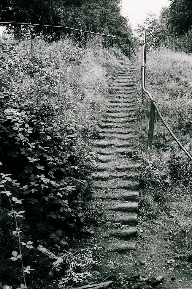 Steps, Summersales Colliery. Steps, Summersales Colliery.