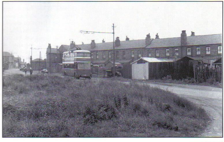 trolley bus trolley bus
