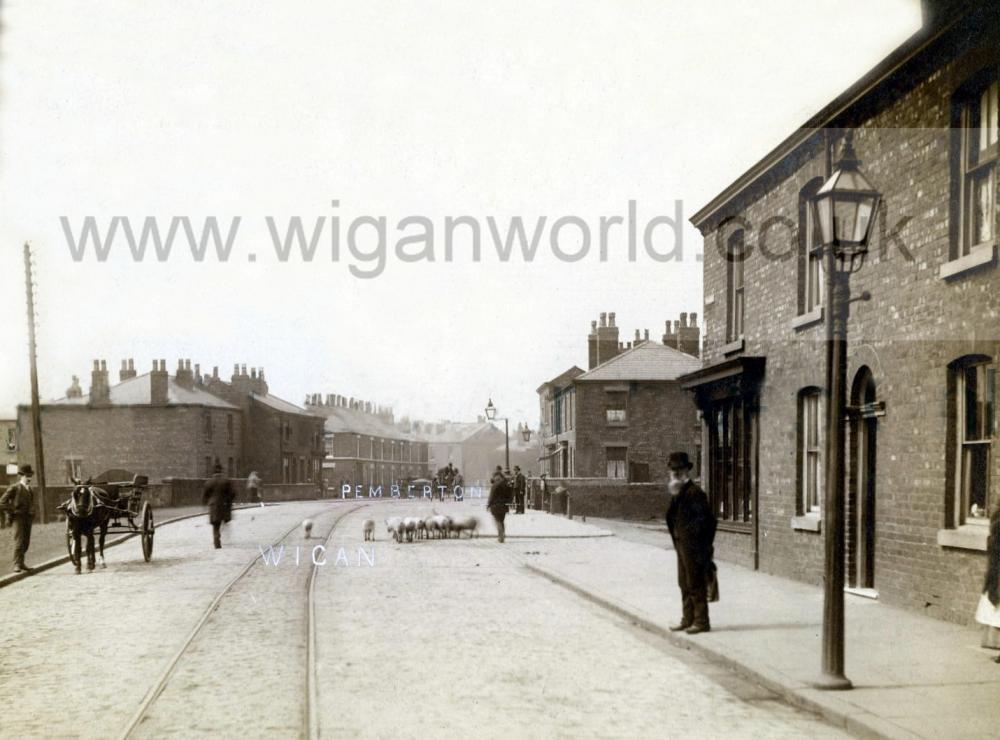 NEWTOWN EARLY 1900'S NEWTOWN EARLY 1900'S