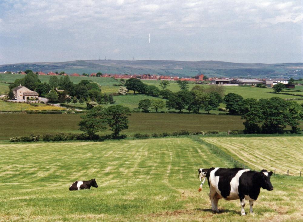 Brown Fold Farm